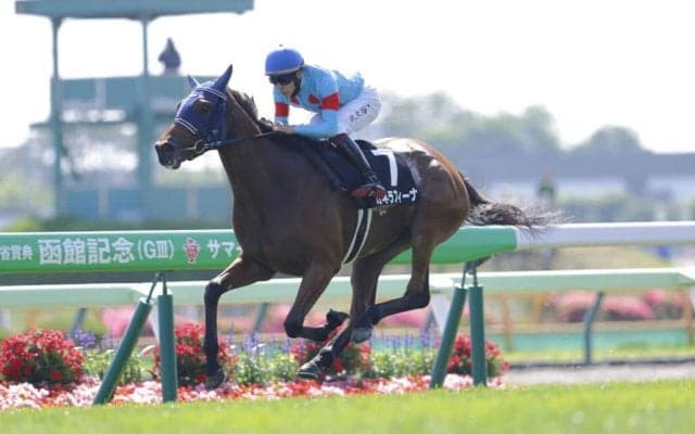 【中山金杯】4連勝中カネラフィーナは3枠3番
