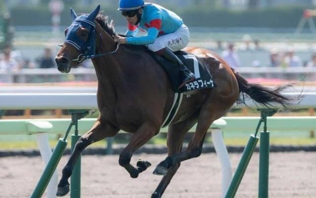 【今日の注目ポイント】中山金杯と京都金杯で今年の中央競馬がスタート