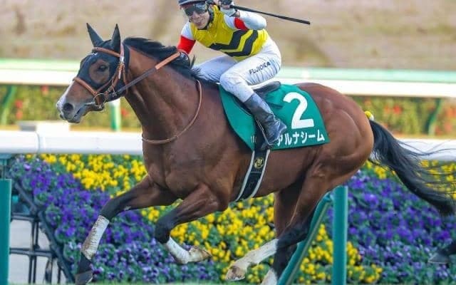 データが示す“軸馬”とは 中山金杯を過去10年から分析