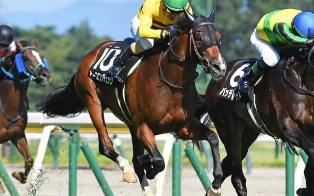 【中山金杯予想】大阪杯などにつながる登竜門