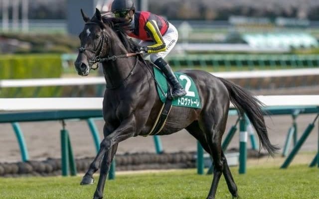 【京都金杯予想】マイル路線を占う西の幕開け重賞