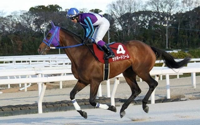 【園田・新春賞】ラッキードリーム復活V…8歳馬が意地の押し切り