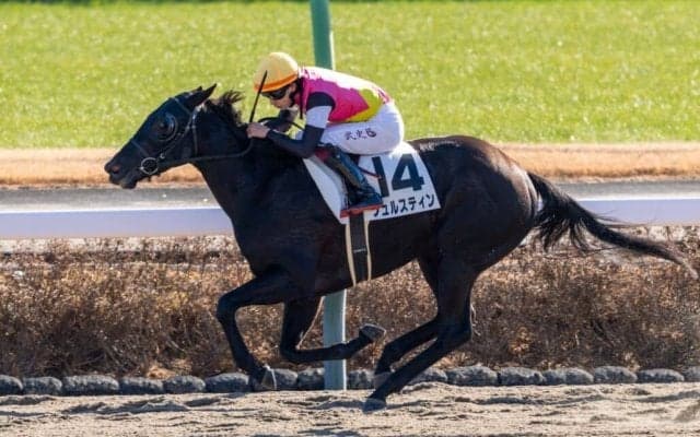 【中山1R】東の初笑いは横山武史騎乗 フュルスティン