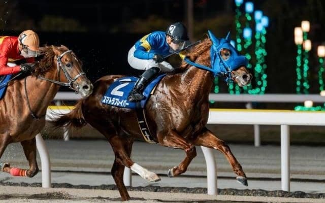 【浦和・ニューイヤーC枠順】平和賞を制したスマトラフレイバーは4枠4番