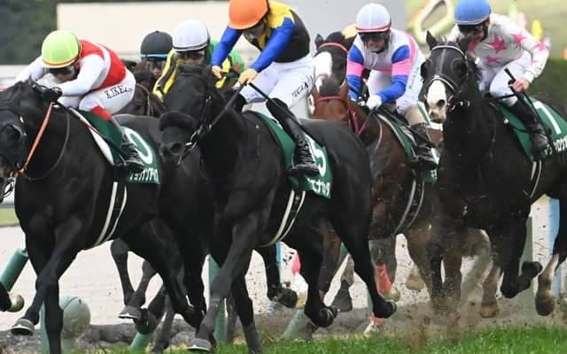 【JRA・WIN5】2026年初のWIN5は的中184票、配当277万5800円