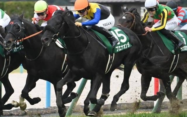 【京都金杯結果】ブエナオンダが競り合いを制し重賞初制覇 4-5-18人気で3連単109万