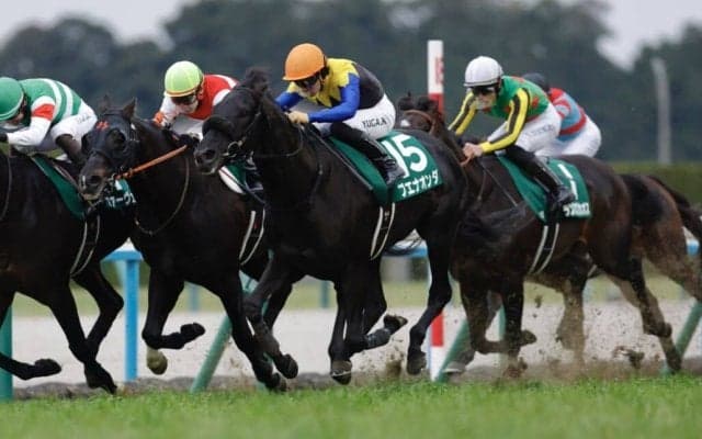 WIN5は277万円超の払戻し…東西で金杯が行われる