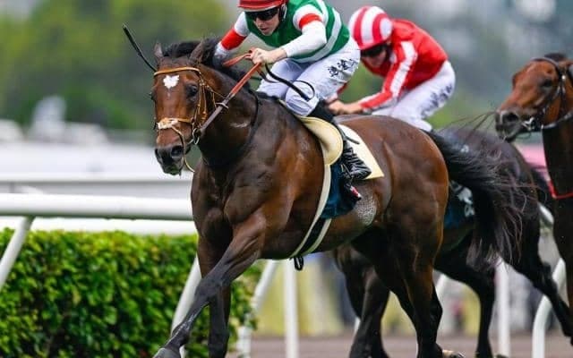 23年のダービー馬タスティエーラが登録抹消 優駿スタリオンステーションで種牡馬入り