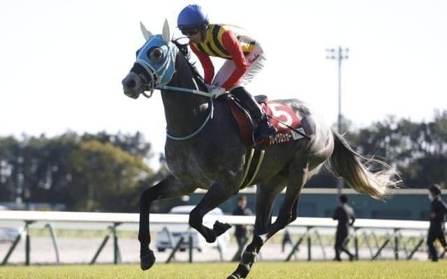 【今日の注目ポイント】京都で芝3000mの名物レース万葉S
