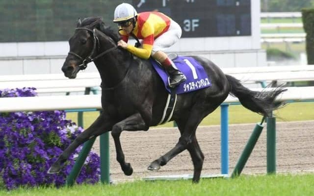 23年の天皇賞(春)覇者ジャスティンパレスが登録抹消 アロースタッドで種牡馬入り