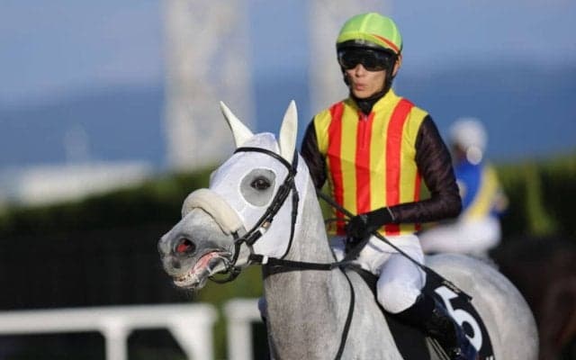 【万葉S】坂井瑠星騎乗 格上挑戦のアクアヴァーナルが快勝