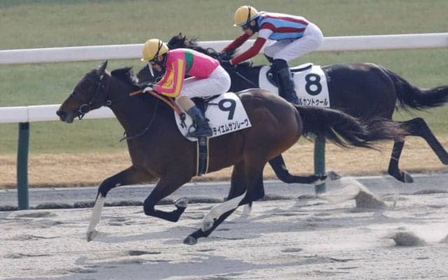 【京都4R】テイエムサンレーヴの直線一気炸裂…鮮やか2勝目