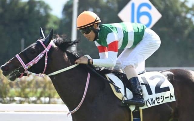 登竜門のシンザン記念とフェアリーS/今週の競馬界の見どころ