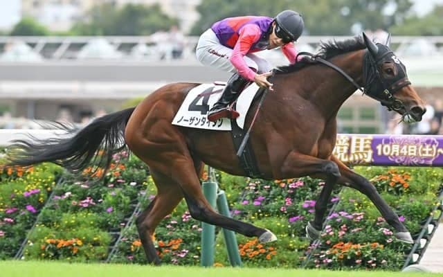 【フェアリーS見どころ】将来性豊かな血統馬ノーザンタイタンが混戦を断つ