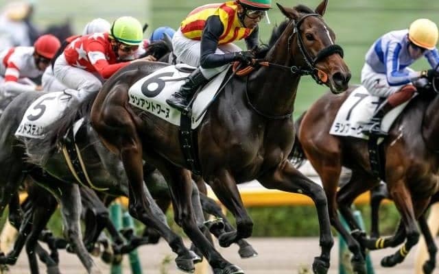 【フェアリーS想定騎手】サンアントワーヌは戸崎圭太騎手、ブラックチャリスは津村明秀騎手