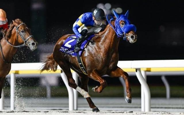 【浦和・ニューイヤーC注目馬】ダート三冠と南関東牝馬クラシックを占う一戦 過去の勝ち馬にはオンスロートやロジータなど