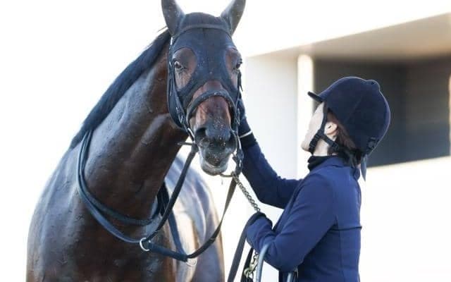 “昨年のトレンド血統”が年をまたいで活躍 中山金杯制したカラマティアノスの血統背景とは