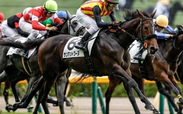 【フェアリーS予想オッズ】サンアントワーヌが予想1番人気