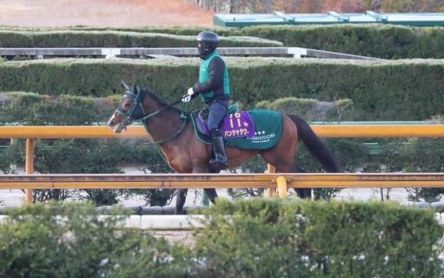 パンジャタワーなど、先週の入厩情報/栗東トレセンニュース