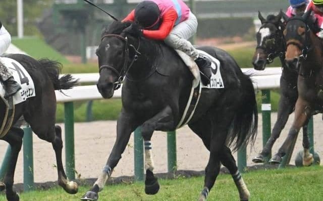 【フェアリーS予想】AIが「戦歴と血統」を高く評価した一頭は？