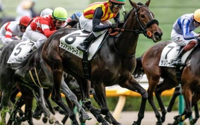 【フェアリーS出走馬・騎手確定】サンアントワーヌ＆戸崎圭太騎手、ブラックチャリス＆津村明秀騎手など16頭
