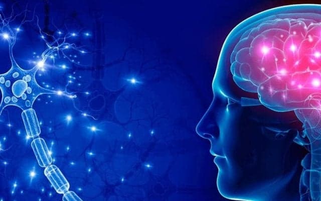 【スポーツメンタル】感情をコントロールする「感謝の気持ち」がパフォーマンスを高める