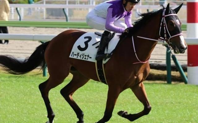 【フェアリーS】2年目の上里直汰騎手 ハーディジェナーで重賞初挑戦初制覇なるか