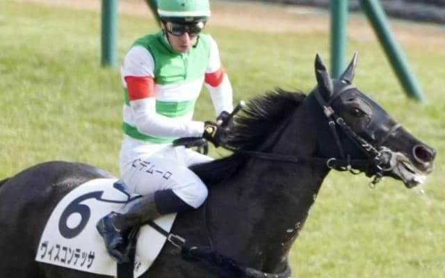 【フェアリーS】半兄はドゥラエレーデ ヴィスコンテッサが重賞初制覇を狙う