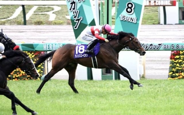 ダノンスコーピオンが南アフリカで種牡馬入り