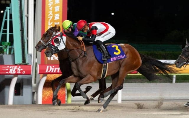 交流重賞5勝グランブリッジが引退、繁殖入り