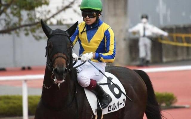 23年中京記念覇者セルバーグが登録抹消 滋賀県で乗馬になる予定