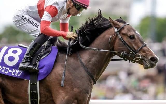 22年NHKマイルC覇者 ダノンスコーピオンが南アフリカで種牡馬入りへ