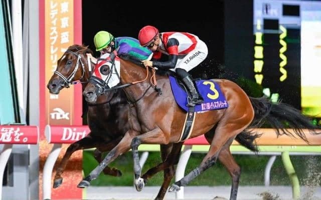 牝馬ダート重賞5勝のグランブリッジが登録抹消 今後は追分ファームで繁殖馬になる予定