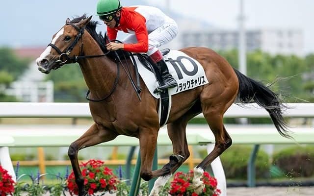 【フェアリーS枠順確定】ブラックチャリスは8枠15番、サンアントワーヌは5枠9番