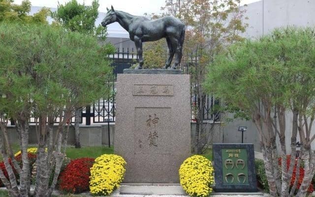 ばんえい競馬にもその血をのこす!? シンザン記念の「シンザン」ってどんな馬