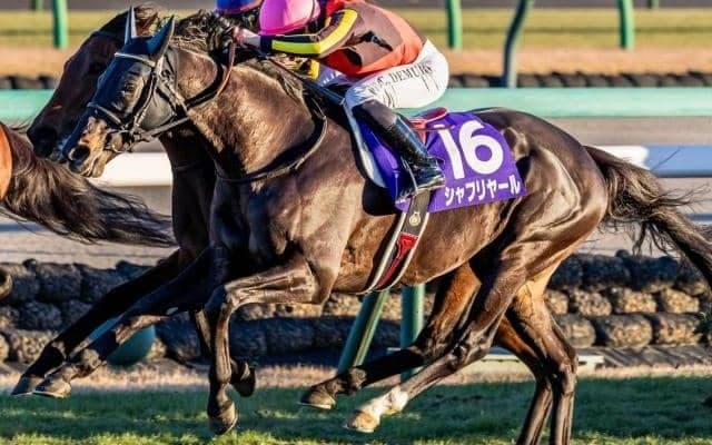 半兄は日本ダービー馬のシャフリヤール ジャミールアインが河原田菜々騎手でデビュー