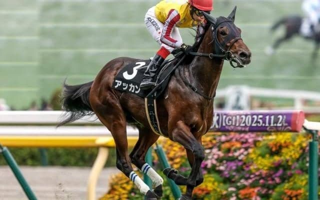 【京成杯想定馬・騎手】アッカン、アクセスなど17頭