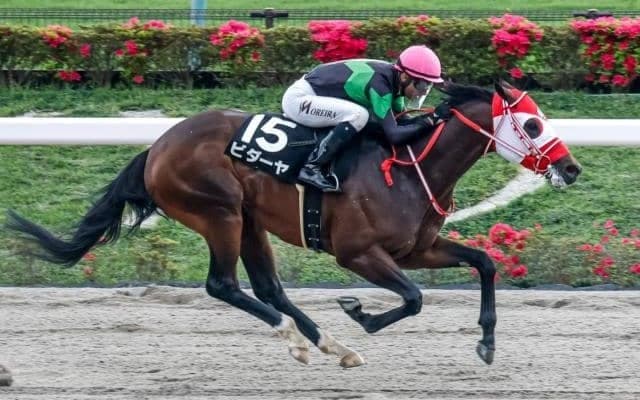 【今日の注目ポイント】すばるSと新馬戦でクロノジェネシスの半妹がデビュー