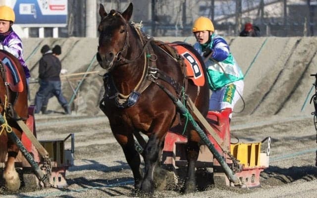 【ばんえい十勝】ルーキー臼杵龍美騎手初勝利