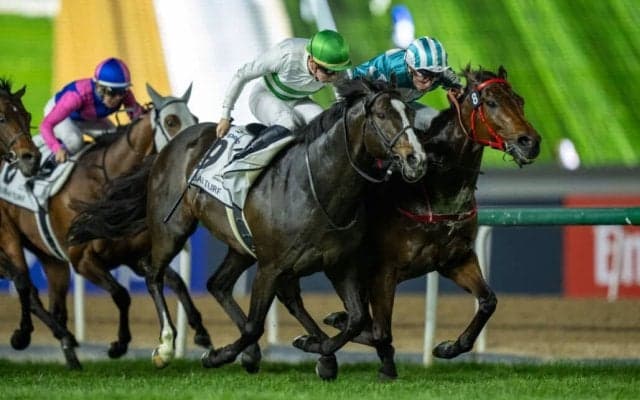 ソウルラッシュが引退、種牡馬入り