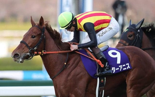 【競馬予想】３歳牝馬クラシックで頂点に立つのはこの馬だ　年明け早々に大胆予想！