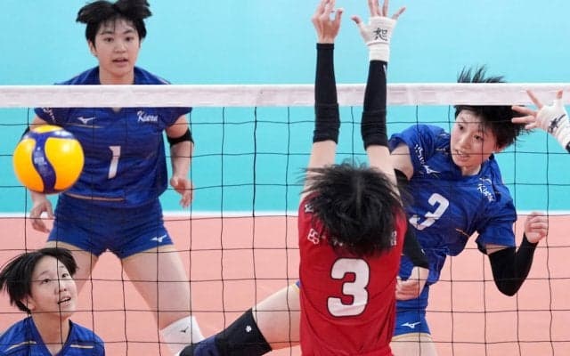 金蘭会が7大会ぶり決勝へ　セッター＆アタッカーの「二刀流」丹山花椿が奮闘　春高バレー