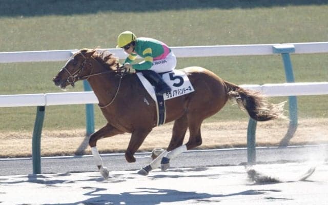 【京都4R】タガノアバンドーネが2勝目