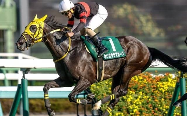 25年京成杯AHの勝ち馬ホウオウラスカーズが登録抹消 岡田スタッドで繁殖入り