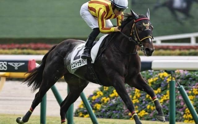 【今日の注目ポイント】中山で3歳牝馬の重賞・フェアリーS