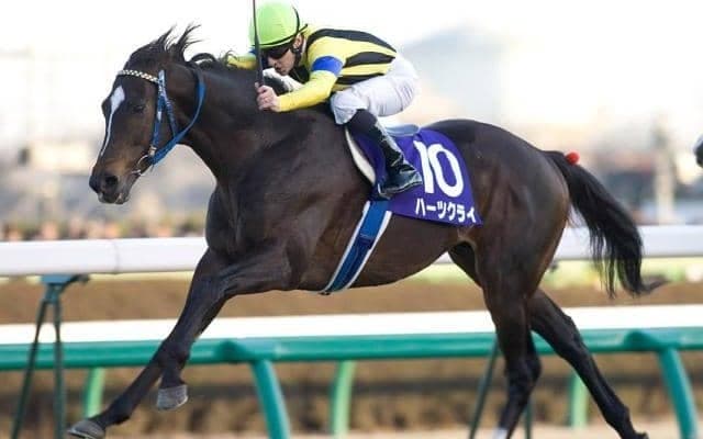 ハーツクライ産駒がJRA通算1600勝達成！ JRA史上6頭目