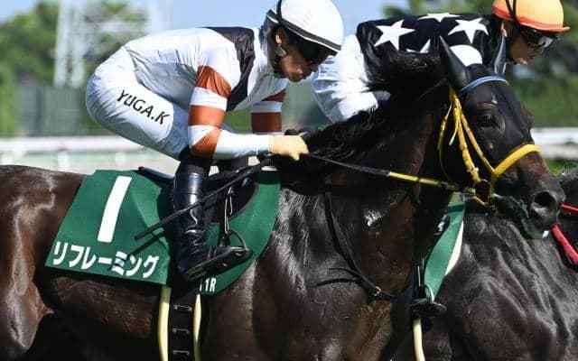 JRA最後のキングヘイロー産駒 24年小倉記念を制したリフレーミングが登録抹消