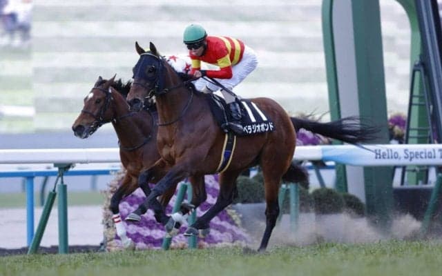 【新春S】ベラジオボンドが好位から抜け出し4勝目