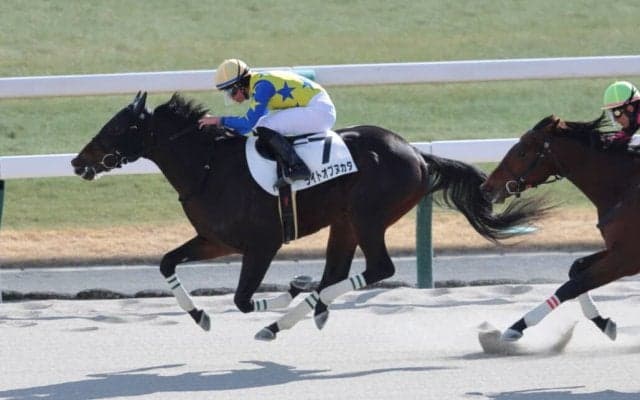 【京都5R】1番人気ライトオブヌカタが2勝目