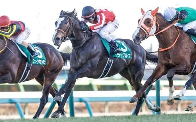 23年の中山金杯を勝ったラーグルフが登録抹消 今後は千葉県で乗馬に